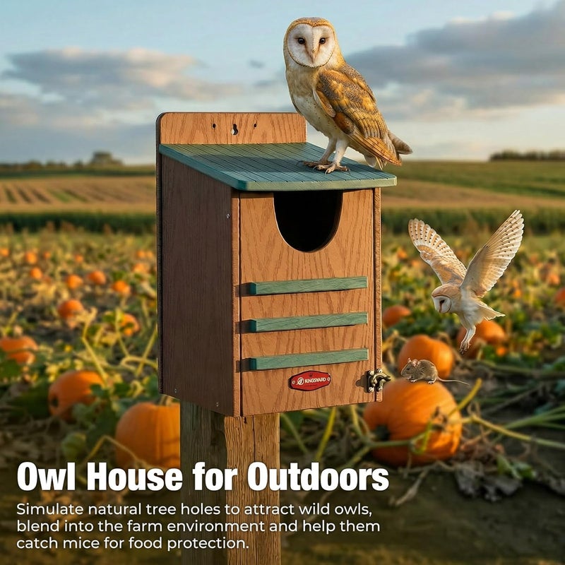 Kingsyard Large Recycled Plastic Wooden Owl House, Waterproof Screech Owl Bird Boxes for Outside, Owl Nesting Box Kit with Screws Ideal for Wildlife, Elf, Pygmy, Garden, Air Ventilation. Green - Image 5